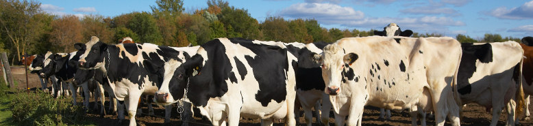 www.agriculturesafetynet.co.uk