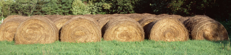 www.agriculturesafetynet.co.uk